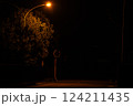 夜道 124211435