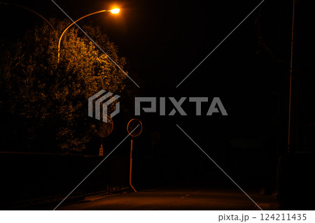 夜道 124211435