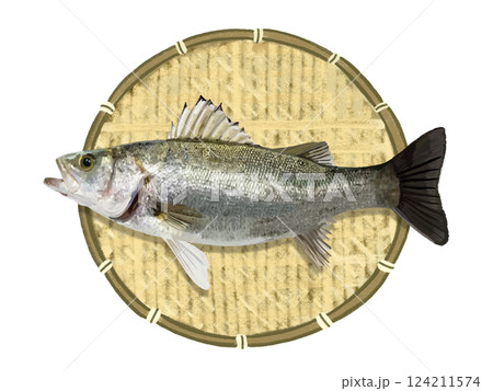 スズキ(ザル付き) スズキ(ザル付き) 124211574