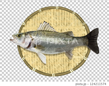 スズキ(ザル付き) スズキ(ザル付き) 124211574