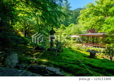 新緑に包まれる竹林院の庭園 124211866
