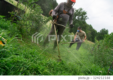 Team of Farmers Mowing Grass Around Raspberry and Blueberry Seedlings to Maintain Their Small Farm. Team of Farmers Mowing Grass Around Raspberry and Blueberry Seedlings to Maintain Their Small Farm. 124212188