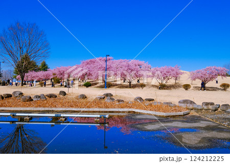 水に映るくさぶえの丘 水に映るくさぶえの丘 124212225