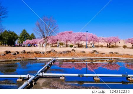 池に映るくさぶえの丘 池に映るくさぶえの丘 124212226