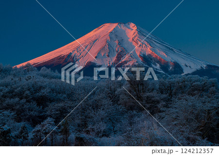 忍野村から見た霧氷と紅富士 124212357