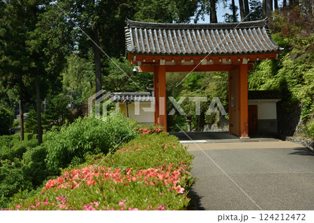 三室戸寺 山門とさつき(京都府宇治市) 三室戸寺 山門とさつき(京都府宇治市) 124212472