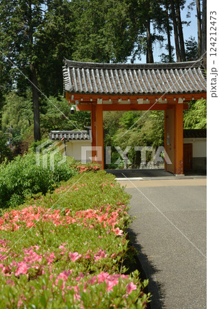 三室戸寺 山門とさつき(京都府宇治市) 三室戸寺 山門とさつき(京都府宇治市) 124212473