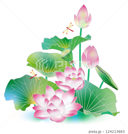蓮とトンボ 124213663
