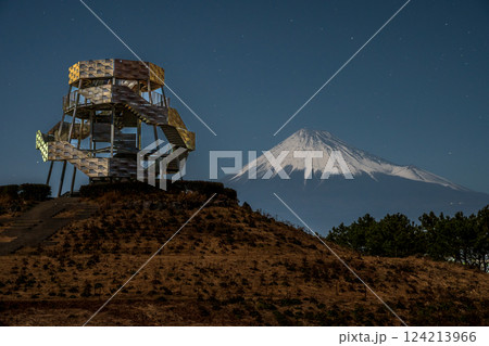 月光に輝くドラゴンタワーと富士山 124213966