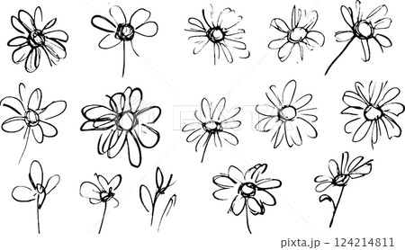 A collection of hand-drawn sketches of flowers, showcasing various styles and perspectives. The flowers are depicted in simple black lines on a white background, emphasizing their delicate shapes. 124214811
