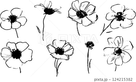 A collection of hand-drawn flowers in black ink, showcasing various styles and shapes. Each flower has distinct petals and centers, arranged in a visually appealing layout. 124215382