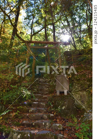 鳩ノ巣渓谷の水神宮鳥居 東京 鳩ノ巣渓谷の水神宮鳥居 東京 124215485