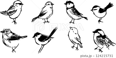 A collection of hand-drawn illustrations of various small birds, showcasing different poses and styles. The birds are depicted in a simplistic, artistic manner with black outlines on a white 124215731