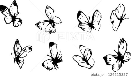 A collection of eight artistic black and white butterfly illustrations, showcasing various wing positions and styles, ideal for decorative or educational purposes. A collection of eight artistic black and white butterfly illustrations, showcasing various wing positions and styles, ideal for decorative or educational purposes. 124215827