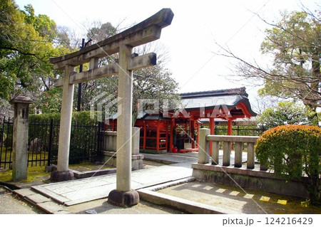 京都府　東寺・八島神社 八島社殿　京都市 南区 九条町　2022年2月 124216429