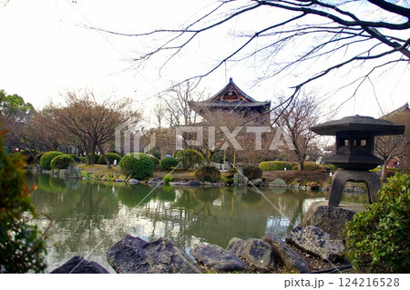 京都府 東寺・庭園 瓢箪池 京都市 南区 九条町 2022年2月 京都府 東寺・庭園 瓢箪池 京都市 南区 九条町 2022年2月 124216528