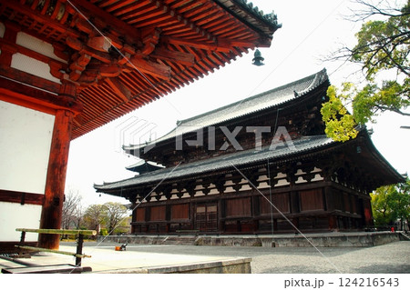 京都府 東寺・金堂(国宝) 京都市 南区 九条町 2022年2月 京都府 東寺・金堂(国宝) 京都市 南区 九条町 2022年2月 124216543