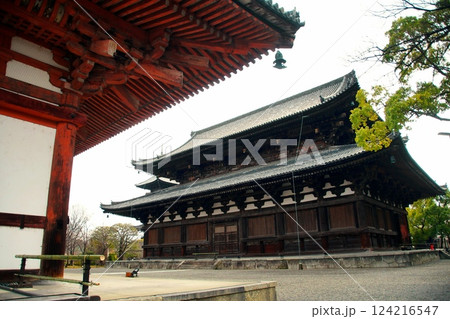 京都府　東寺・金堂（国宝） 京都市 南区 九条町　2022年2月 124216547