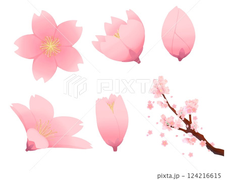 桜の素材 124216615