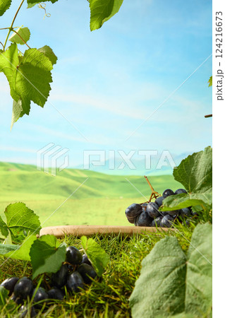 Low angle shot of a circular wooden tray on the lawn with a bunch of grapes obscured by green grape leaves. The grapes are deep purple with grapevines growing serve as decoration around Low angle shot of a circular wooden tray on the lawn with a bunch of grapes obscured by green grape leaves. The grapes are deep purple with grapevines growing serve as decoration around 124216673