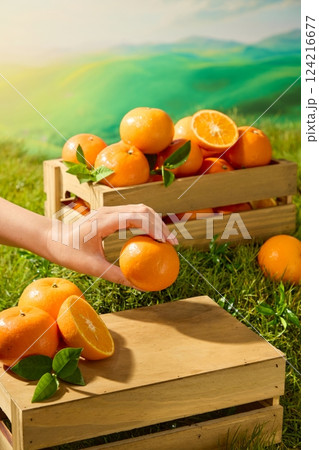 A fresh orange held in mid-air by a hand with long, slender fingers. The orange peel is rough with small holes, still covered with morning dew. Wooden crates filled with fruit in the garden.  124216677