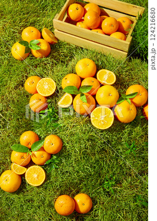 Oranges arranged naturally, some in small piles, some scattered across the grass. Orange segment was tightly packed, juicy. Water droplets remained on oranges, a few leaves mixed in between 124216680