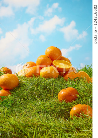 Oranges with drops of water still on the peel, stacked on top of each other. The oranges are covered by the green grass carpet below. Presented in a blue sky background with white clouds. Oranges with drops of water still on the peel, stacked on top of each other. The oranges are covered by the green grass carpet below. Presented in a blue sky background with white clouds. 124216682