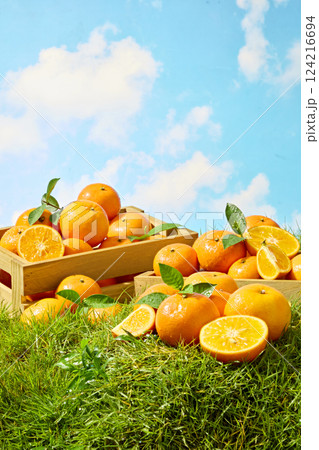 Vertical shot of two wooden crates made of light brown wood, still showing the wood grain. Green leaves interspersed with Citrus Burst Orange in the crate. Clear blue sky background with soft clouds 124216694