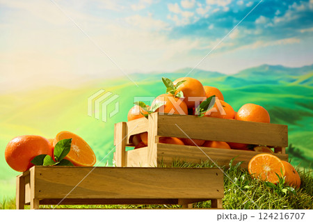Half an orange placed on a rectangular wooden board, with green leaves for decoration. A crate of oranges placed on the grass. A blue sky with white clouds and many green mountains. Half an orange placed on a rectangular wooden board, with green leaves for decoration. A crate of oranges placed on the grass. A blue sky with white clouds and many green mountains. 124216707