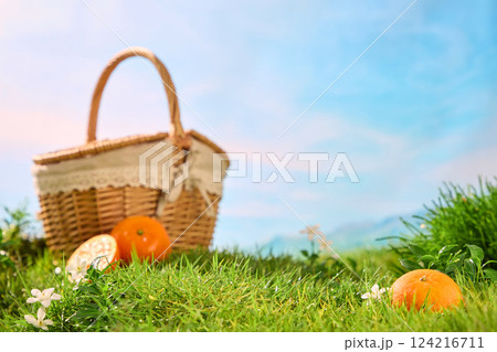 Photo in focus of lawn with fresh grass blades and flowers. Vibrant oranges placed on the lawn. Fresh Citrus Burst Orange cut in half and juicy. Blue sky background with blurred picnic basket. Photo in focus of lawn with fresh grass blades and flowers. Vibrant oranges placed on the lawn. Fresh Citrus Burst Orange cut in half and juicy. Blue sky background with blurred picnic basket. 124216711