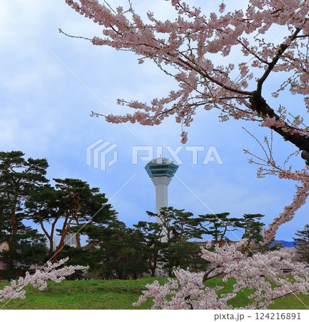 函館の春観光におすすめ!五稜郭公園と五稜郭タワーの桜 (北海道) 函館の春観光におすすめ!五稜郭公園と五稜郭タワーの桜 (北海道) 124216891