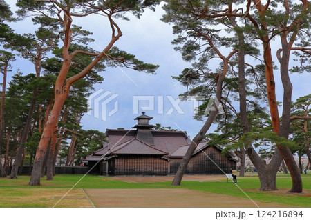 函館の春観光におすすめ!五稜郭公園と五稜郭タワーの桜 (北海道) 函館の春観光におすすめ!五稜郭公園と五稜郭タワーの桜 (北海道) 124216894