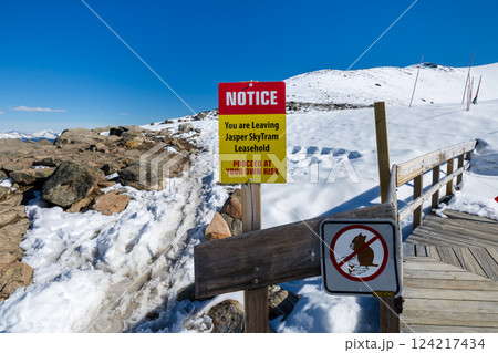 Snow-covered Whistlers Summit Trail. Jasper, Alberta, Canada. 124217434