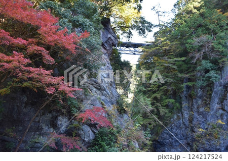 秋の鳩ノ巣渓谷 東京 秋の鳩ノ巣渓谷 東京 124217524