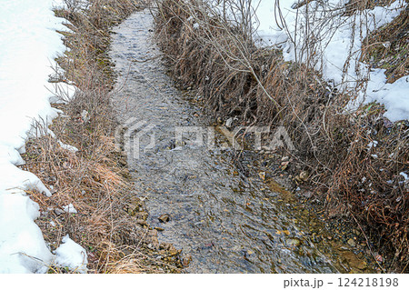 A small mountain river with a fast current flows along a riverbed with a stone bottom, the banks of which are covered with dry grass and the snow has already begun to melt at the edges 124218198