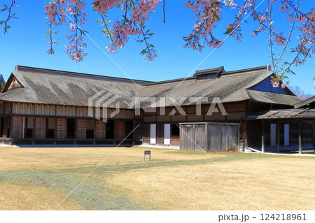 満開の桜と日本100名城・根城の主殿 青空に映える春の歴史風景《青森》 満開の桜と日本100名城・根城の主殿 青空に映える春の歴史風景《青森》 124218961