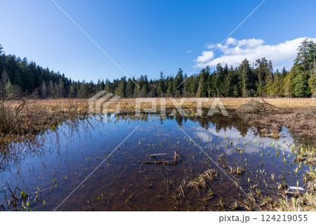 Beaver Lake in Stanley Park. Vancouver, British Columbia, Canada. 124219055