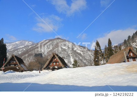 青空と雪原のコントラストが美しい菅沼合掌造り集落の冬景色 124219222