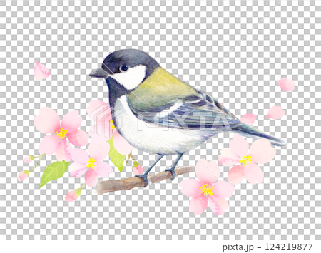 桜の枝にとまるシジュウカラ　水彩イラスト 124219877