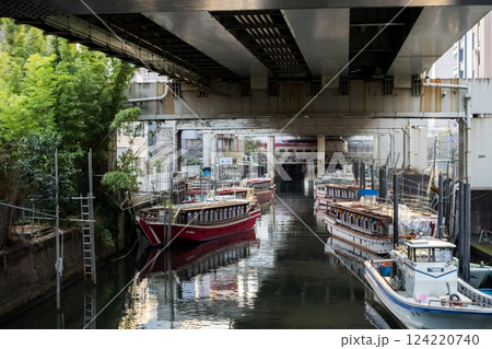 【金杉橋】屋形船のある高架下を通過するサンライズ瀬戸・出雲 124220740