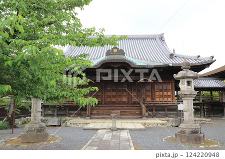 曼荼羅寺の藤(愛知県江南市)・44 曼荼羅寺の藤(愛知県江南市)・44 124220948
