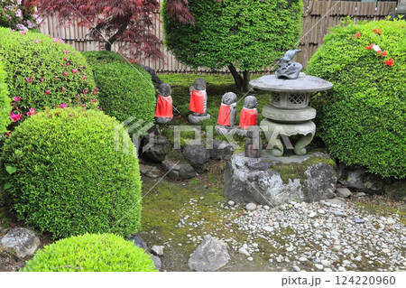 曼荼羅寺の藤（愛知県江南市）・51 124220960