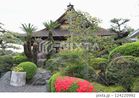 曼荼羅寺の藤(愛知県江南市)・7 曼荼羅寺の藤(愛知県江南市)・7 124220992