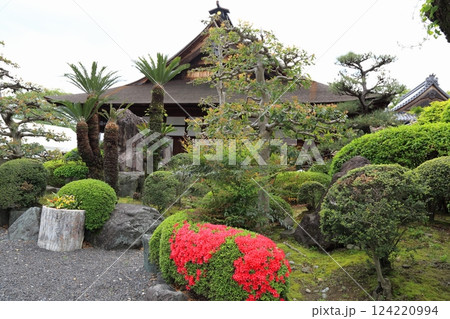 曼荼羅寺の藤（愛知県江南市）・8 124220994