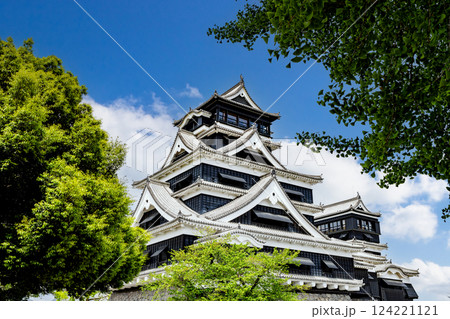 完全復旧した熊本城天守閣の風景 124221121