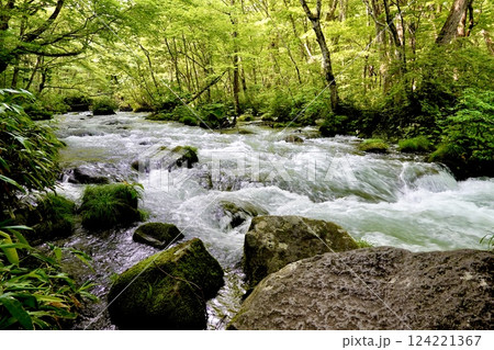 奥入瀬（おいらせ）渓流の鮮やかな緑と清らかなせせらぎの風景　青森県十和田市 124221367
