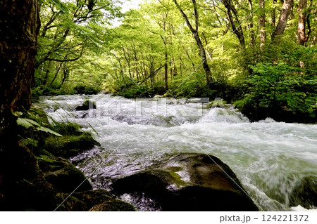 奥入瀬(おいらせ)渓流の鮮やかな緑と清らかなせせらぎの風景 青森県十和田市 奥入瀬(おいらせ)渓流の鮮やかな緑と清らかなせせらぎの風景 青森県十和田市 124221372
