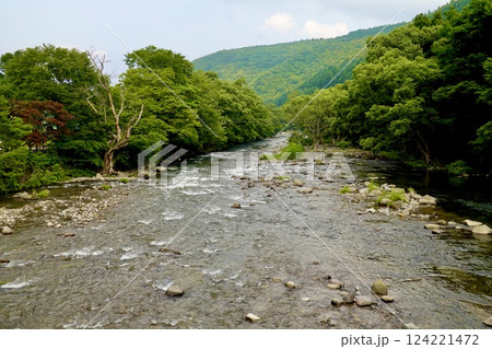奥入瀬川(おいらせがわ)の十和田橋の上から下流を見た風景 青森県十和田市 奥入瀬川(おいらせがわ)の十和田橋の上から下流を見た風景 青森県十和田市 124221472