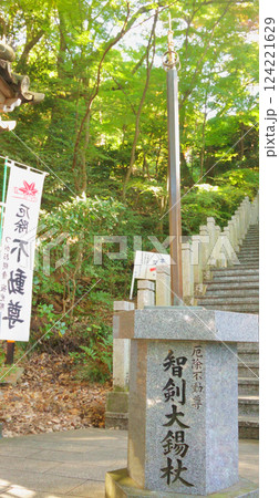 継鹿尾観音寂光院　智剣大錫杖 124221629