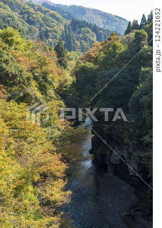 紅葉の手取峡谷 紅葉の手取峡谷 124221652